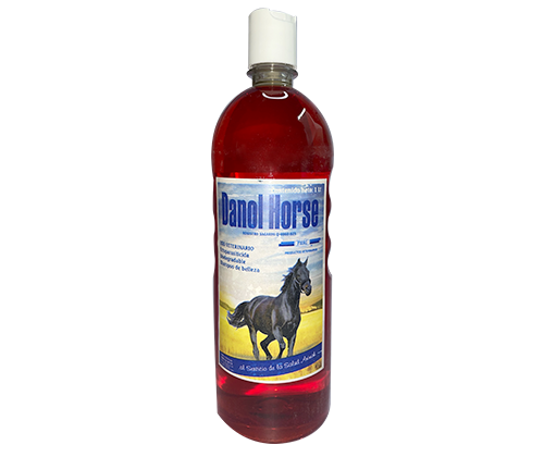 Danol Horse