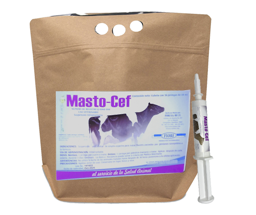 mastocef